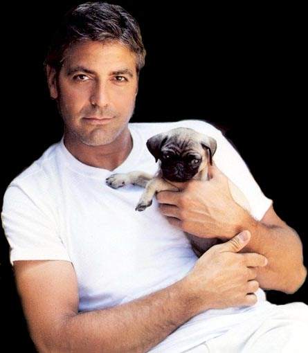 George Clooney hot